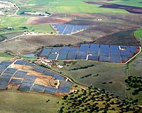 Solarbuzz Reports World Solar PV Market Grew To 5.95 Gigawatts In 2008