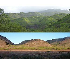 Scientists use islands to gauge rainfall's effect on landscapes