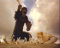 Genes allow humans longer life than apes
