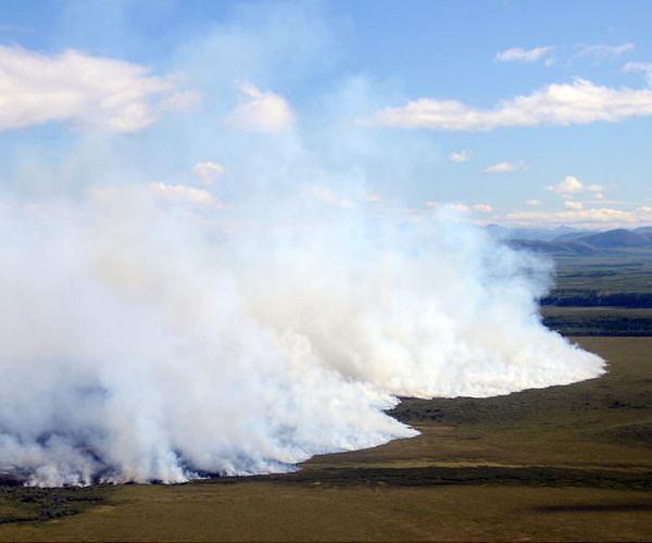 Tundra fire surge reshapes Arctic landscape