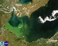 Possible harmful algal bloom in western Lake Erie this summer