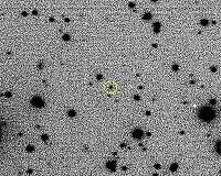 Interstellar asteroid in orbit around our Sun