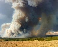Climate change doubles US forest-fire burn areas: study