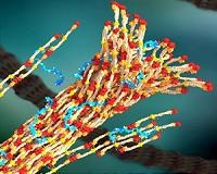 Injectable UW polymer could keep soldiers from bleeding to death