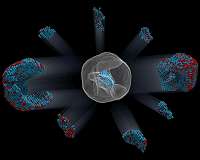 Supercomputing, experiment combine for first look at magnetism of real nanoparticle
