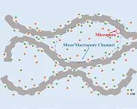 From greenhouse gas to 3-D surface-microporous graphene