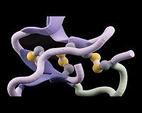 Foldable 3D, man-made proteins could make use by dates for medicines obsolete