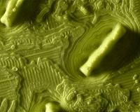Researchers take prints of storms on the ocean floor