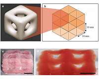 3-D printing creates super soft structures that replicate brain and lungs