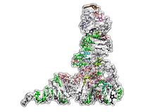 Atlas of the RNA universe takes shape