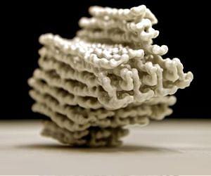 3D printing creates 'virtual' fossil
