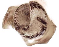 New technique offers strong, flawless 3-D printed ceramics