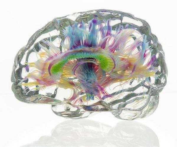 Long missions, frequent travel take a toll on astronauts' brains, study shows