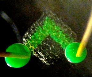 3-D printer can build synthetic tissues