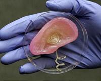 3D printed organs offer ultra-realistic practice models