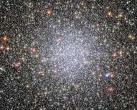 Middleweight Black Hole Hiding in Giant Star Cluster