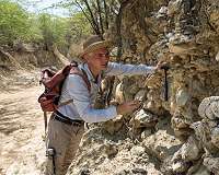 Old species learn new tricks very slowly