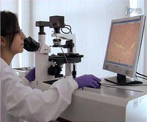 New hope for stem cells, regenerative medicine emerges from the lab