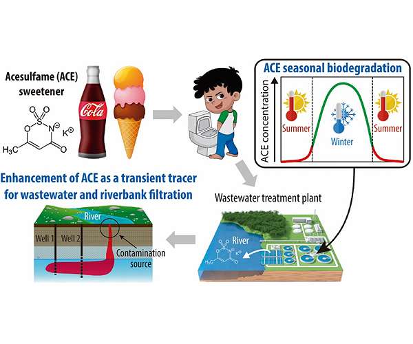Artificial sweetener as wastewater tracer