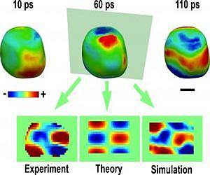 Gold nanocrystal vibration captured on billion-frames-per-second film