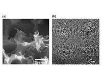 New study defines best materials for carbon capture, methane selectivity