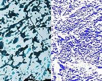 New technique more accurately reflects ponds on Arctic sea ice