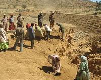 Five ways to halt 'critical' land decay
