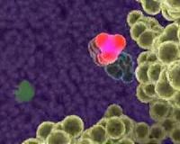 Without ancestral gene life on Earth might not have evolved beyond slime