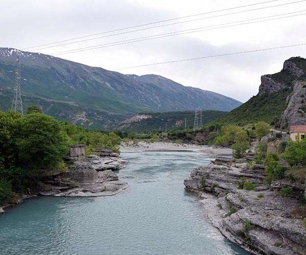 Battling to 'replant' Albania's threatened marine forests