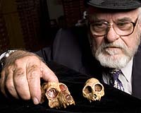 Brain Size And Gender Surprises In Latest Fossil Tying Humans Apes And Monkeys