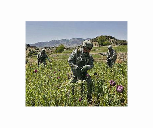 Afghanistan's food crisis a 'legacy' of previous government: Taliban