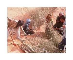Desert spreading like 'cancer,' Egypt conference told