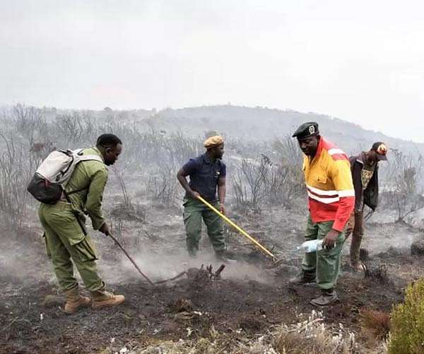Expansive land conversion drives century-long biodiversity collapse on Kilimanjaro's slopes