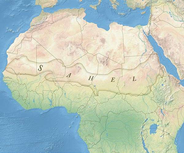 Hungary seeks foothold in restive Sahel as West pulls out