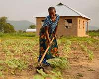 Treating women subsistence farmers for intestinal worms will boost food production