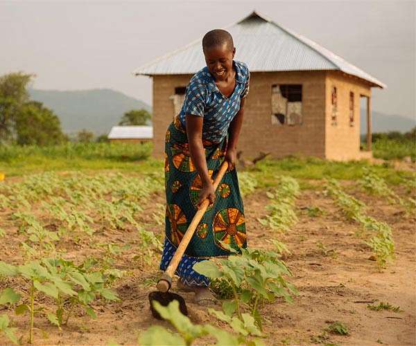 Organic farmers find fertile ground in North Africa