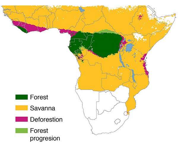 Subscriptions to satellite alerts linked to decreased deforestation in Africa