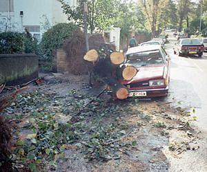 Woman killed by tree as storms batter England