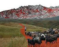 Silk Road evolved as 'grass-routes' movement