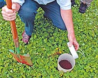 Soils Offer New Hope As Carbon Sink