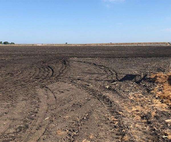Abandoned cropland should produce biofuels