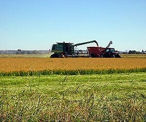 China farm purchase sparks land grab fears in New Zealand
