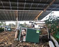 Agrivoltaics proves mutually beneficial across food, water, energy nexus