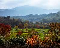Natural solutions to excess carbon is in part totally down to Earth