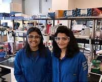 Using tiny organisms to unlock big environmental mysteries
