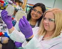 Engineered bacteria pumps out higher quantity of renewable fuel