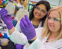 Boosting Biogasoline Production in Microbes