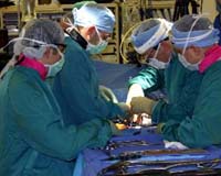 Medical advances turn science fiction into science fact