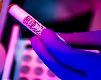 Viruses steal human DNA to forge new human-virus genes