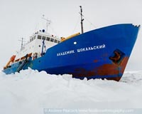 New science materializes from once-stuck Antarctica expedition ship